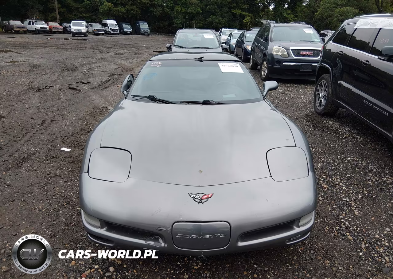 2004 Chevrolet Corvette VIN:1G1YY22G945124741 - 12