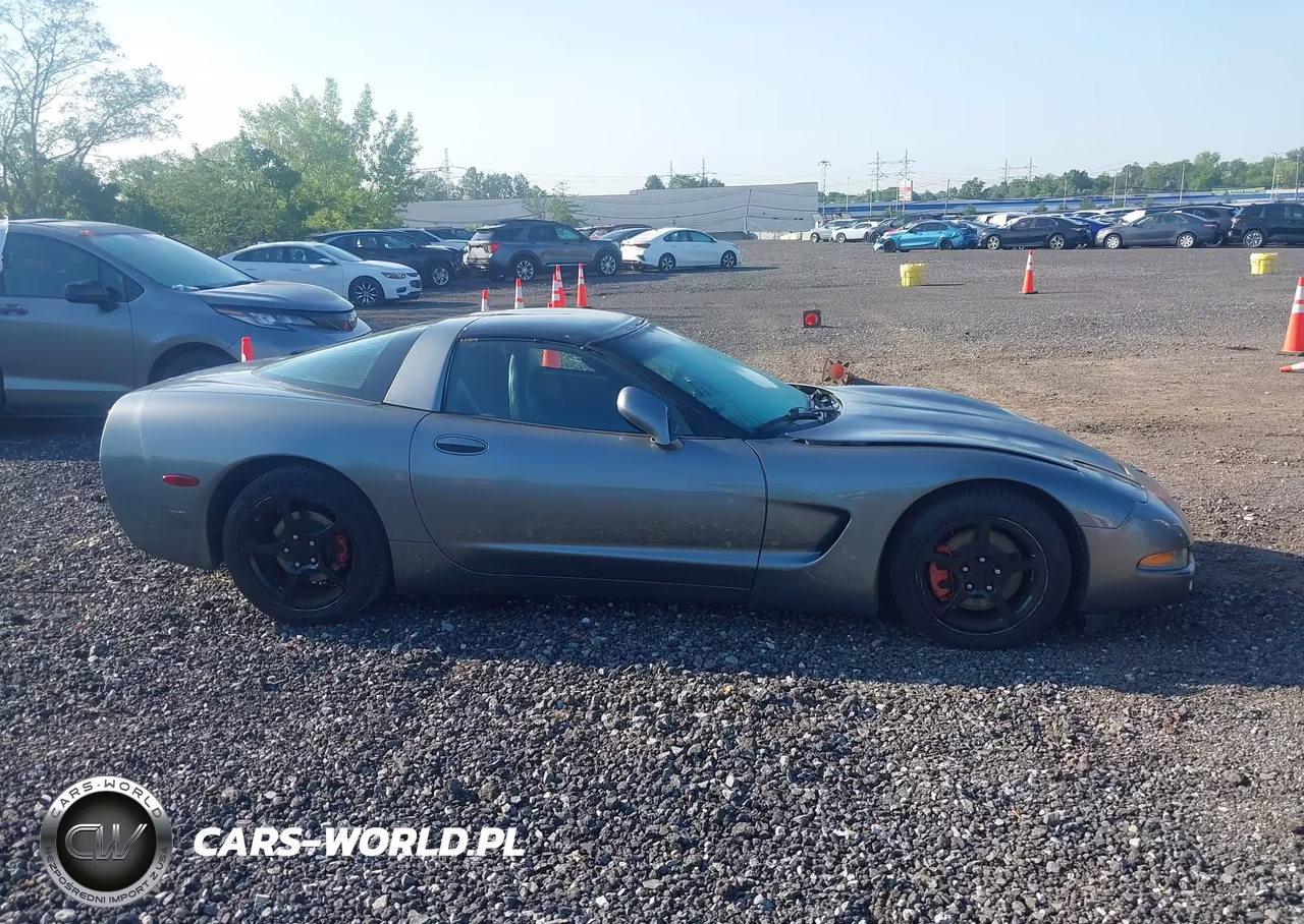 2004 Chevrolet Corvette VIN:1G1YY22G945124741 - 13