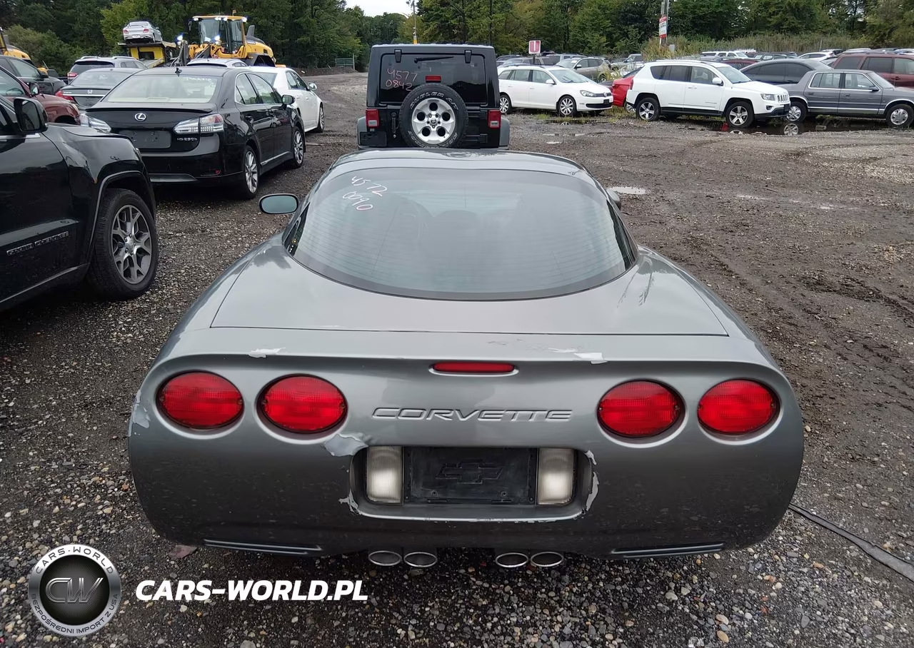 2004 Chevrolet Corvette VIN:1G1YY22G945124741 - 16