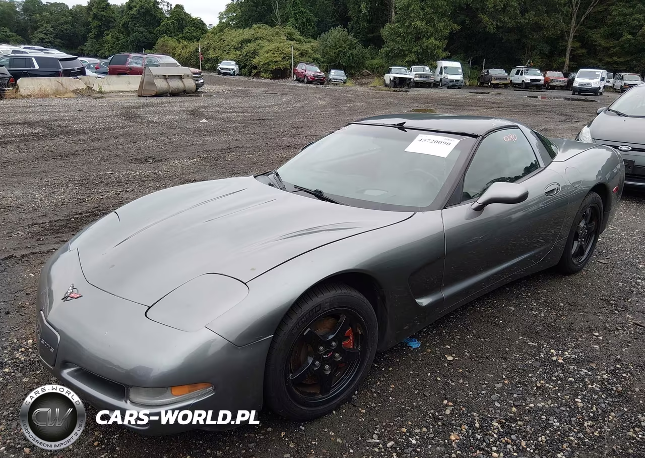 2004 Chevrolet Corvette VIN:1G1YY22G945124741 - 2