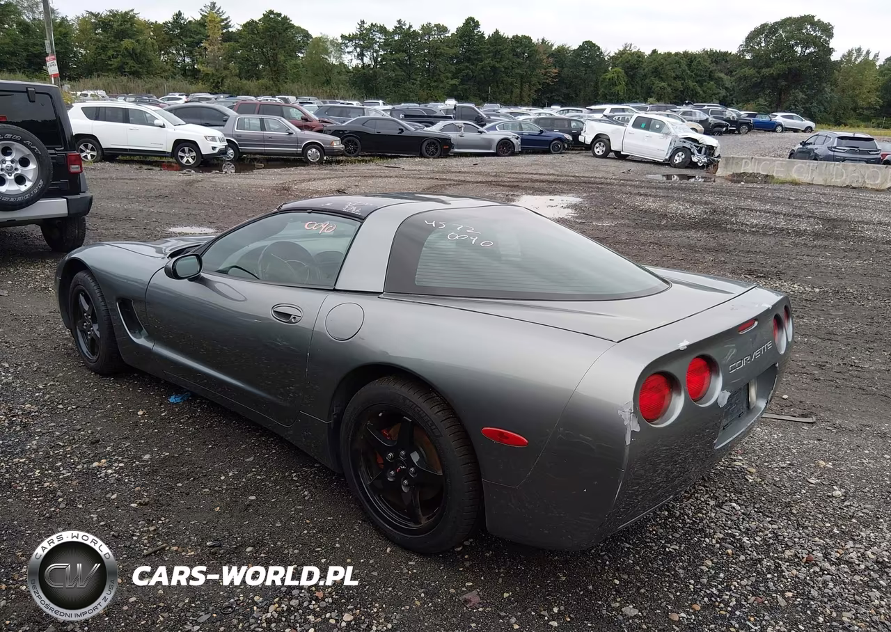2004 Chevrolet Corvette VIN:1G1YY22G945124741 - 3