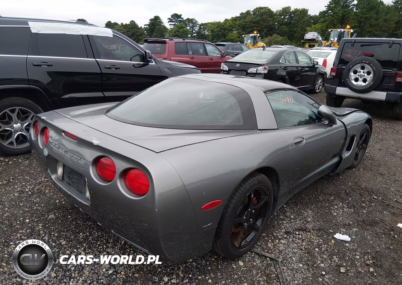 2004 Chevrolet Corvette VIN:1G1YY22G945124741 - 4