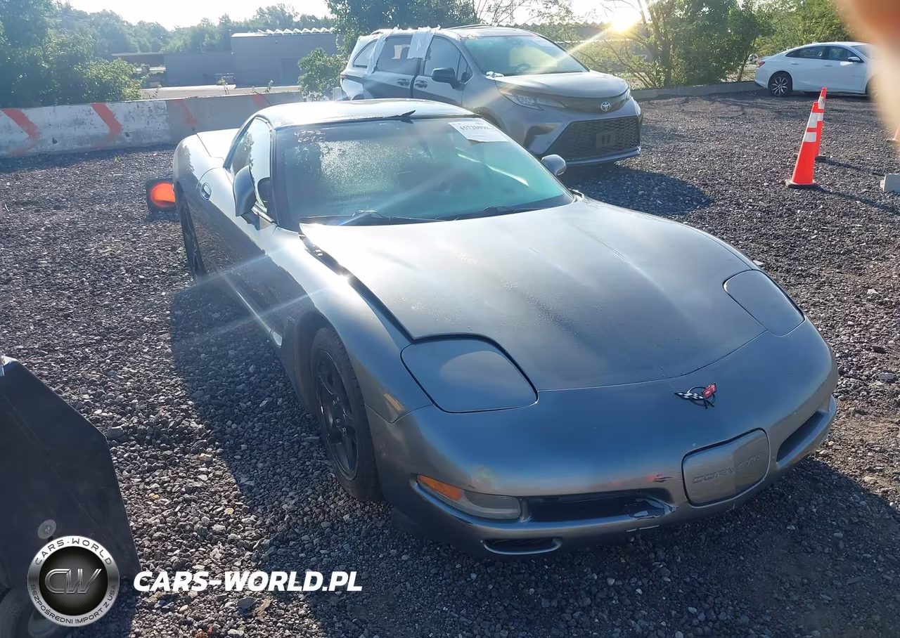 2004 Chevrolet Corvette VIN:1G1YY22G945124741 - 6