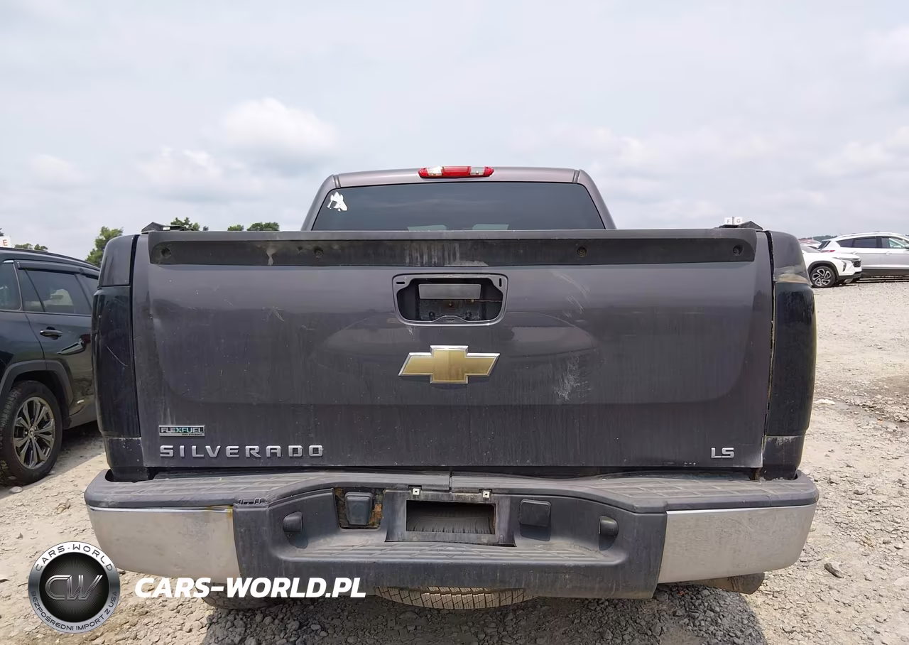 2010 Chevrolet Silverado 1500 Ls VIN:3GCRKREA4AG107671 - 17