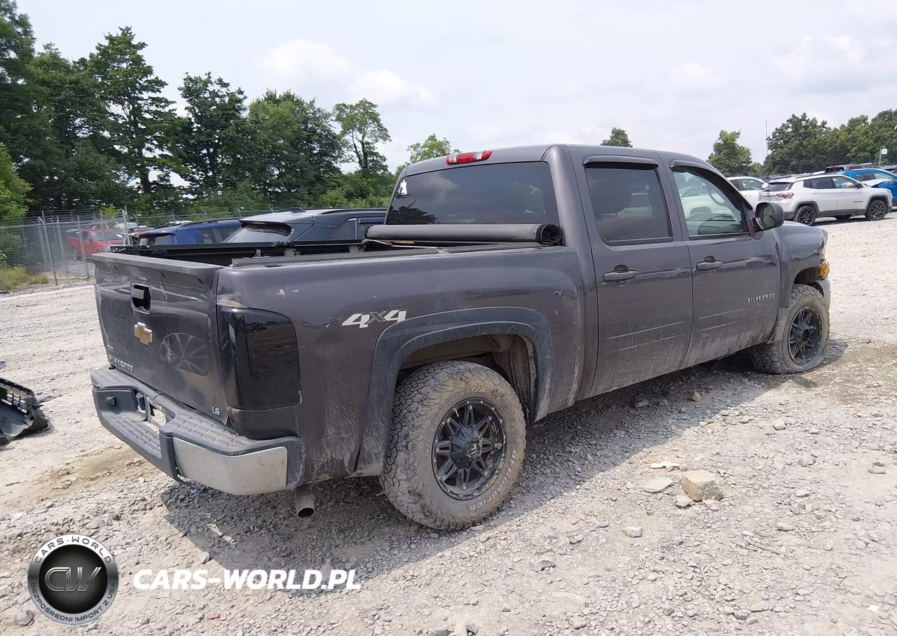 2010 Chevrolet Silverado 1500 Ls VIN:3GCRKREA4AG107671 - 4