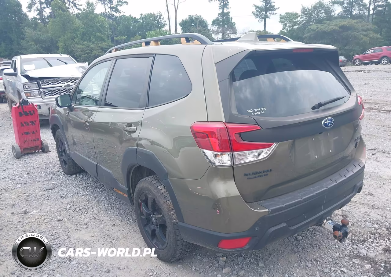 2022 Subaru Forester Wilderness VIN:JF2SKAMC3NH409262 - 3