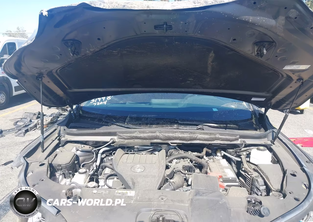 2024 Lexus Rx 350 VIN:2T2BAMBA4RC027204 - 10