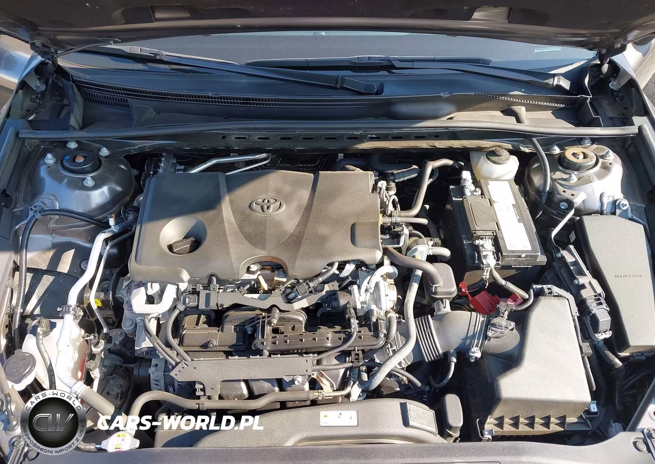 2023 Toyota Camry Se VIN:4T1G11AKXPU164114 - 10