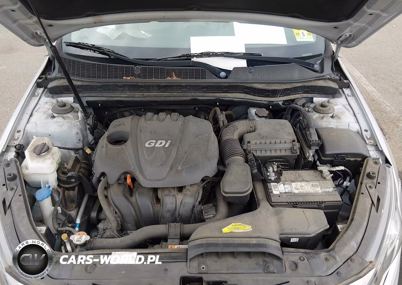 2013 Kia Optima Lx VIN:KNAGM4A76D5431289 - 10
