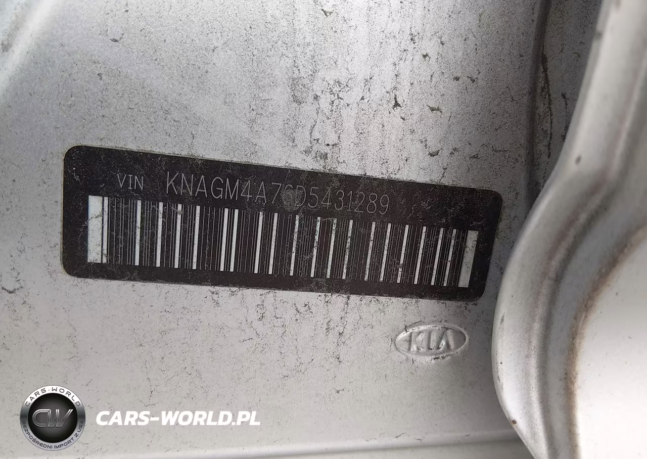 2013 Kia Optima Lx VIN:KNAGM4A76D5431289 - 9