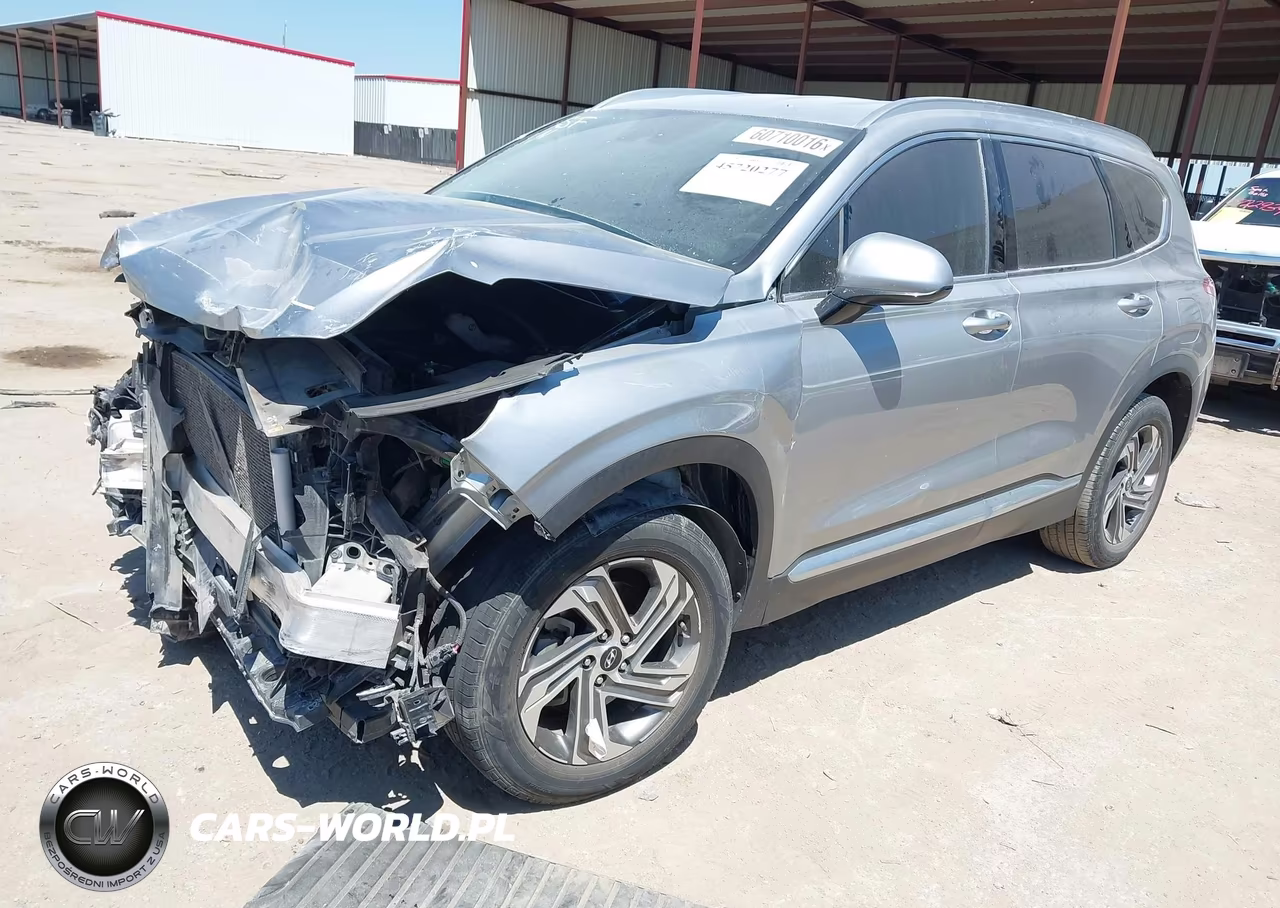 2021 Hyundai Santa Fe Sel VIN:5NMS24AJ3MH307394 - 2