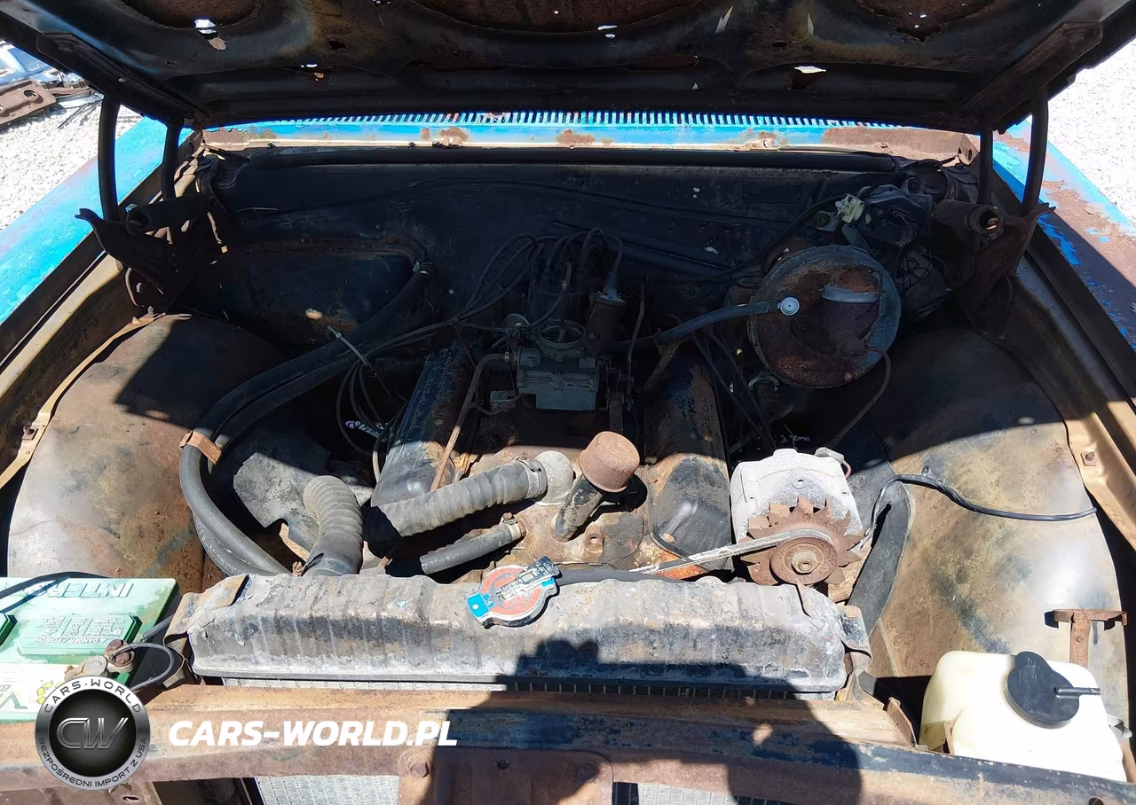 1965 Chevrolet Elcamino VIN:136805B151883 - 10