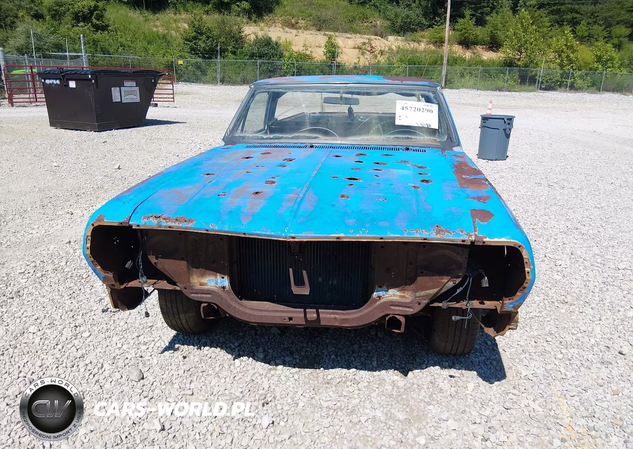 1965 Chevrolet Elcamino VIN:136805B151883 - 13