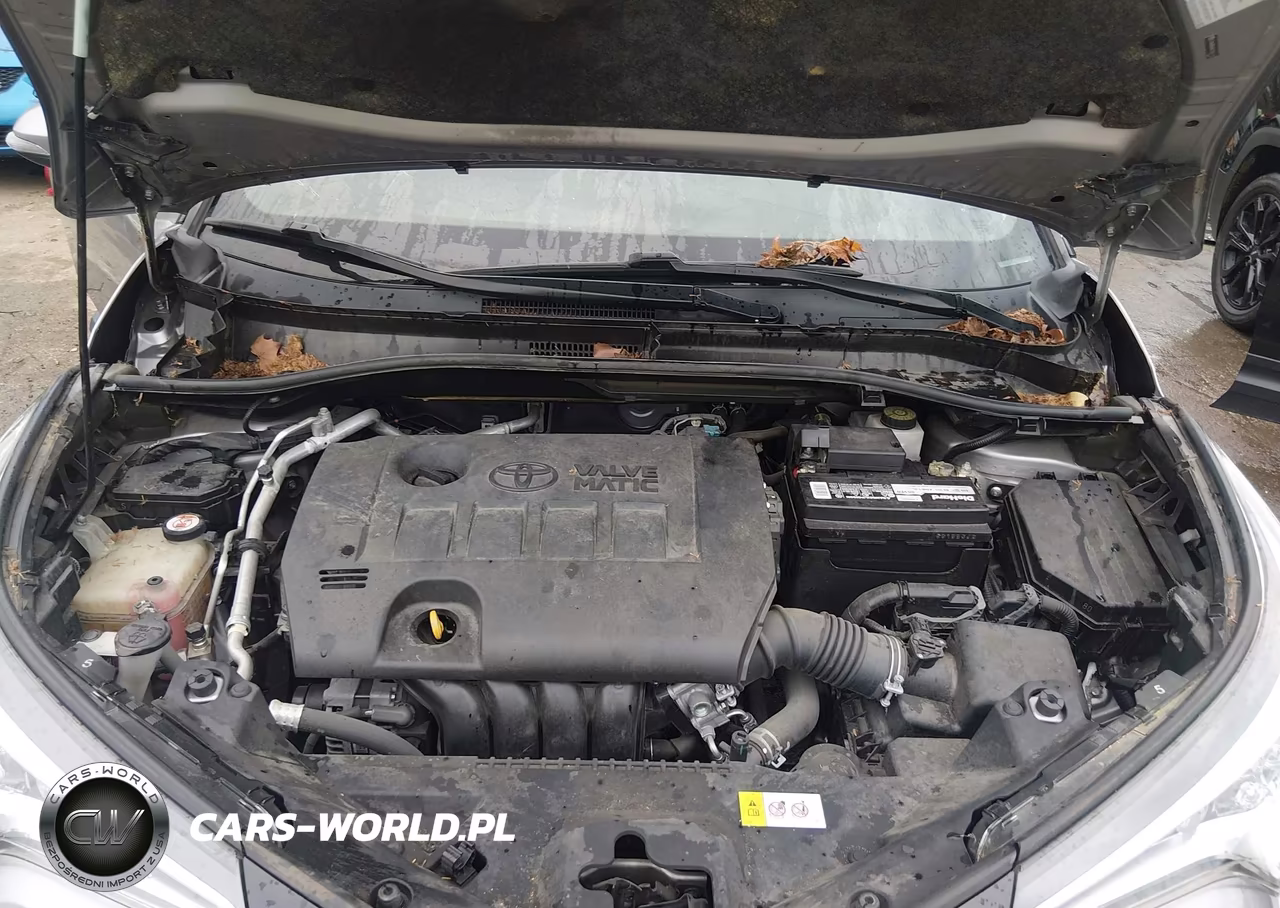 2019 Toyota C-Hr Limited VIN:JTNKHMBX8K1058885 - 10