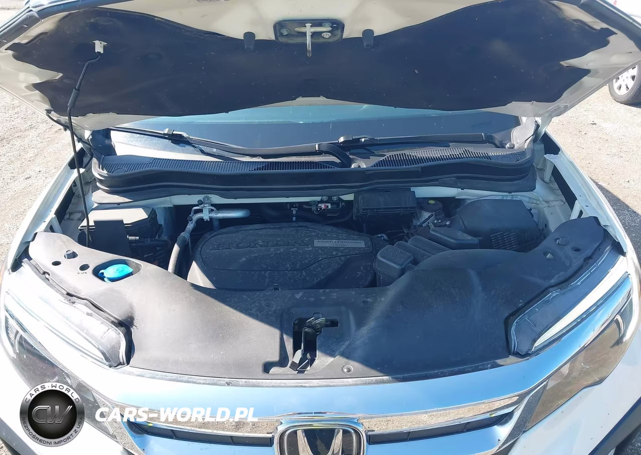 2019 Honda Pilot Ex VIN:5FNYF6H34KB058958 - 10