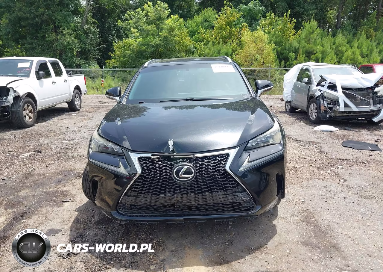 2016 Lexus Nx 200T F Sport VIN:JTJYARBZ2G2023954 - 12