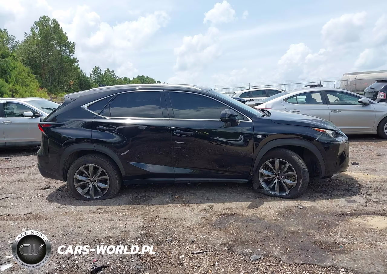 2016 Lexus Nx 200T F Sport VIN:JTJYARBZ2G2023954 - 13