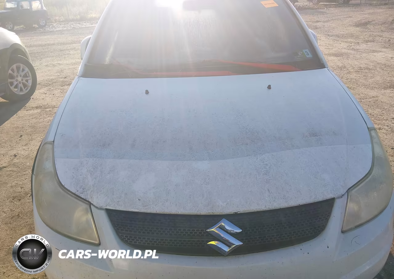 2007 Suzuki Sx4 Convenience-Rally VIN:JS2YB413175102620 - 6