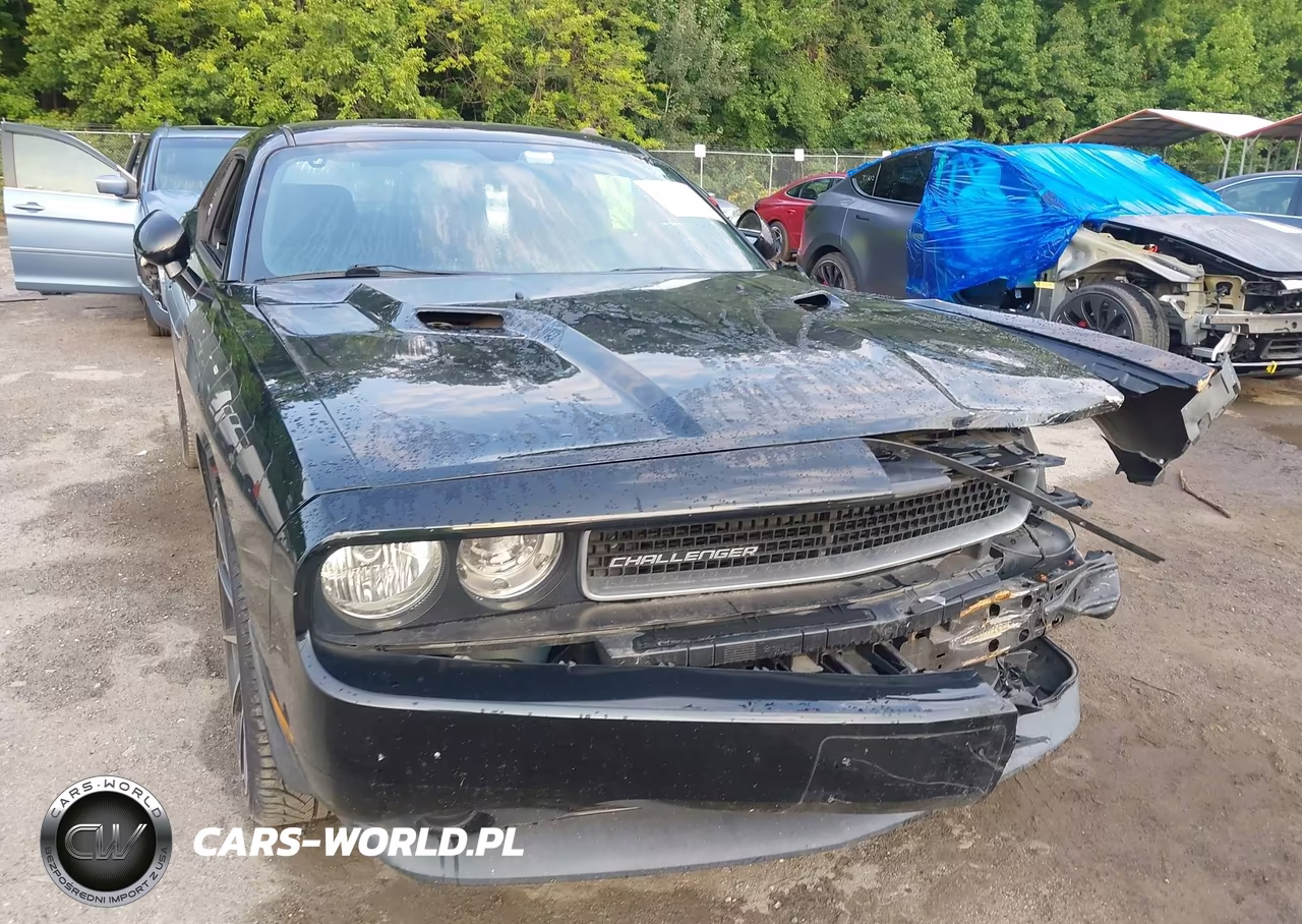 2013 Dodge Challenger Sxt VIN:2C3CDYAG9DH530310 - 19