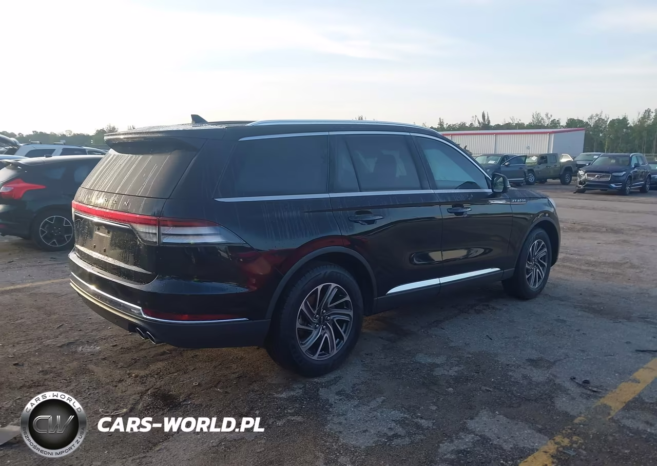2022 Lincoln Aviator Livery VIN:5LM5J0XC4NGL11599 - 4