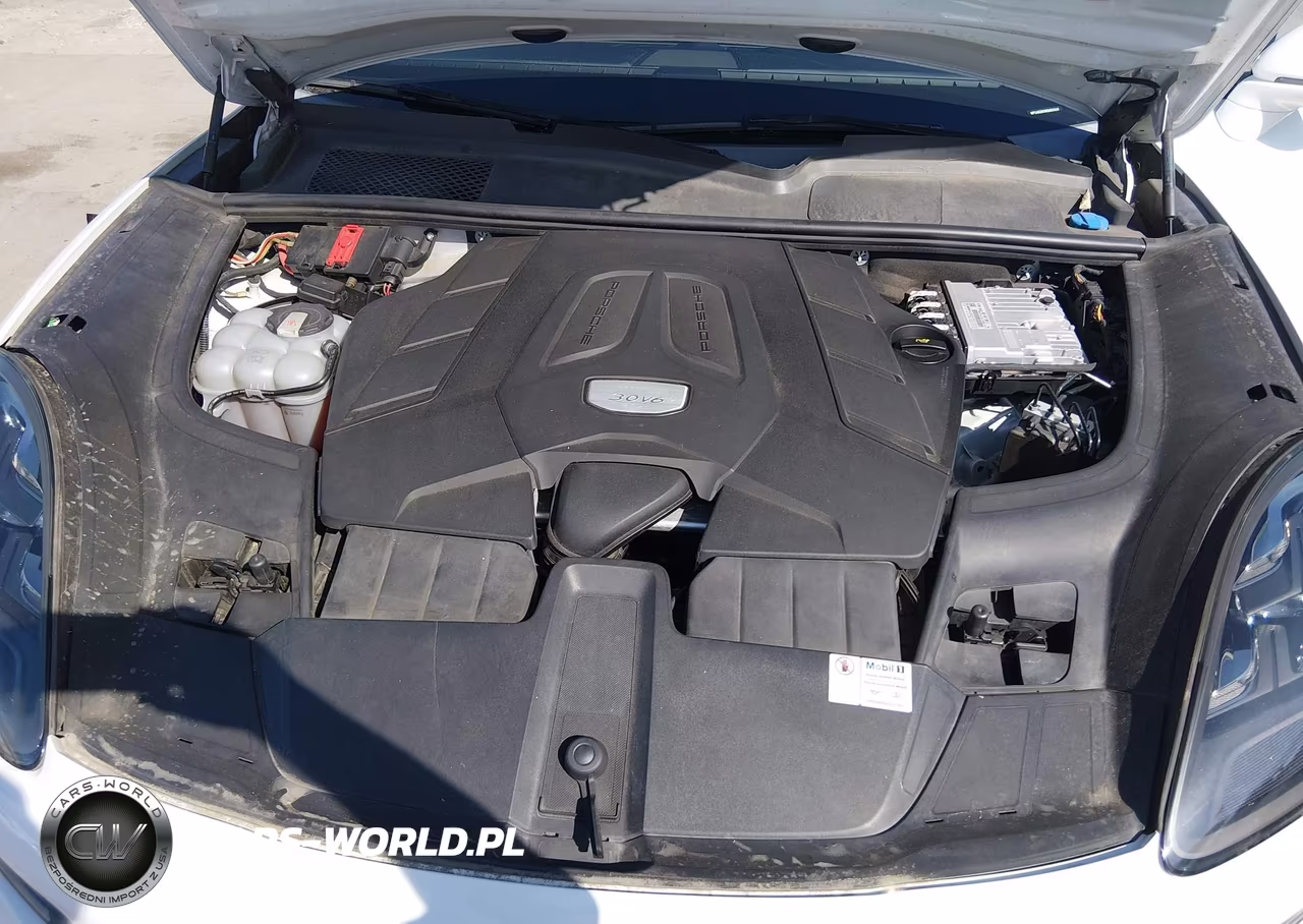 2019 Porsche Cayenne VIN:WP1AA2AYXKDA01619 - 10