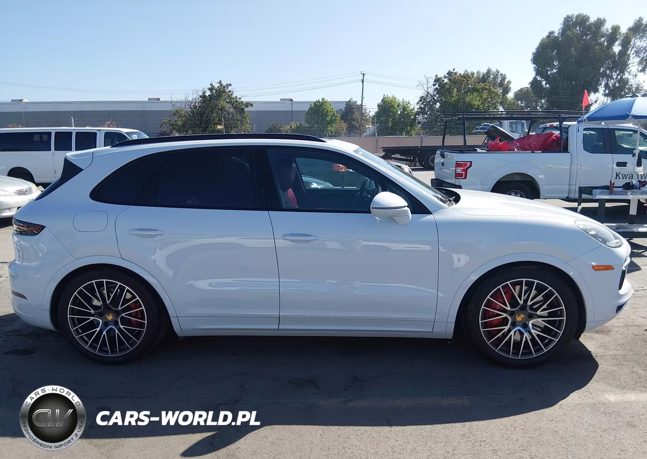 2019 Porsche Cayenne VIN:WP1AA2AYXKDA01619 - 13