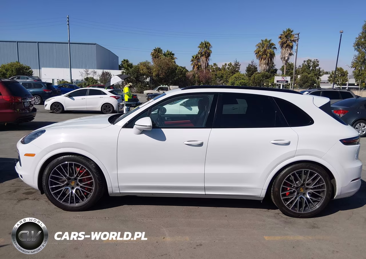 2019 Porsche Cayenne VIN:WP1AA2AYXKDA01619 - 14