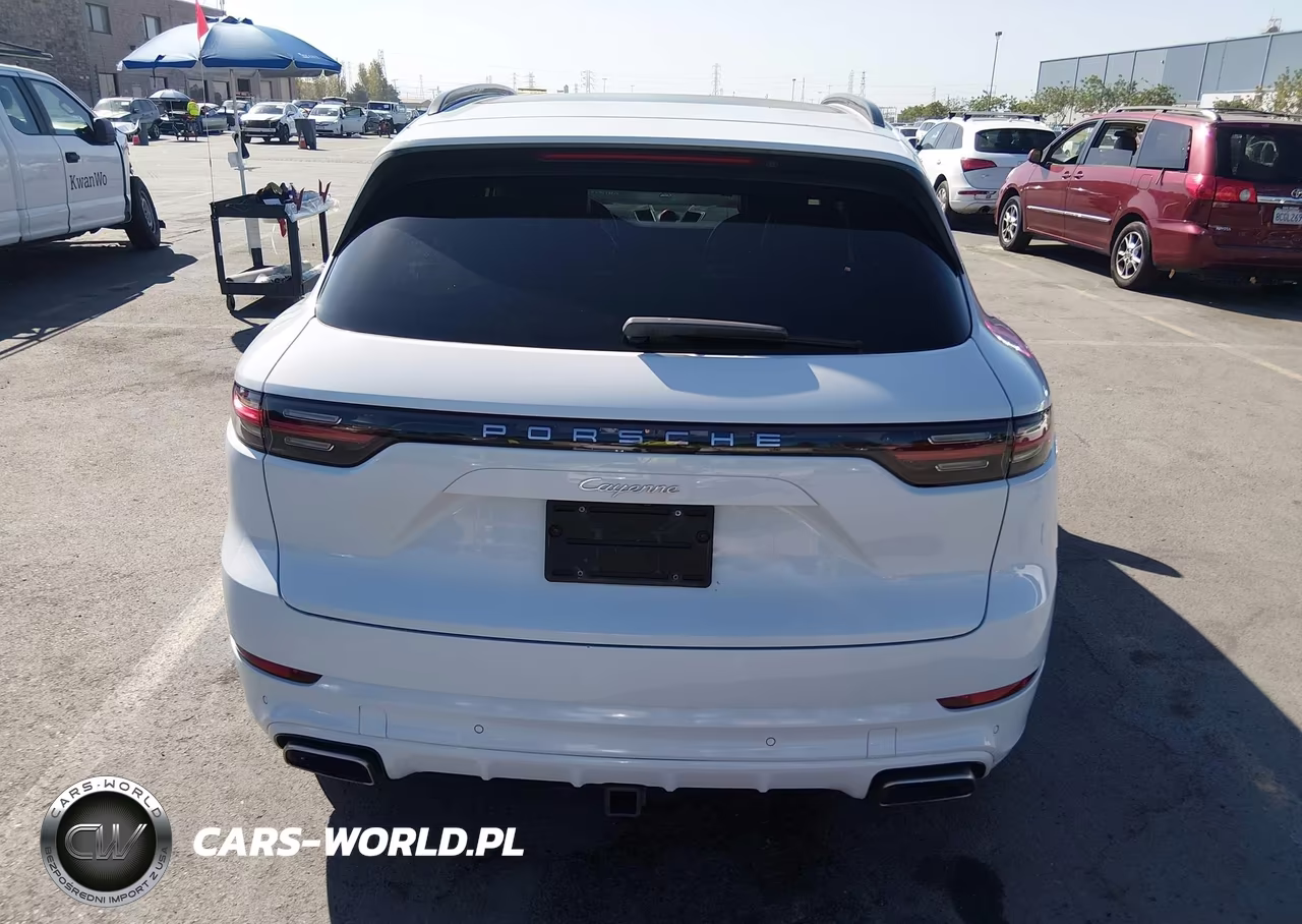 2019 Porsche Cayenne VIN:WP1AA2AYXKDA01619 - 16