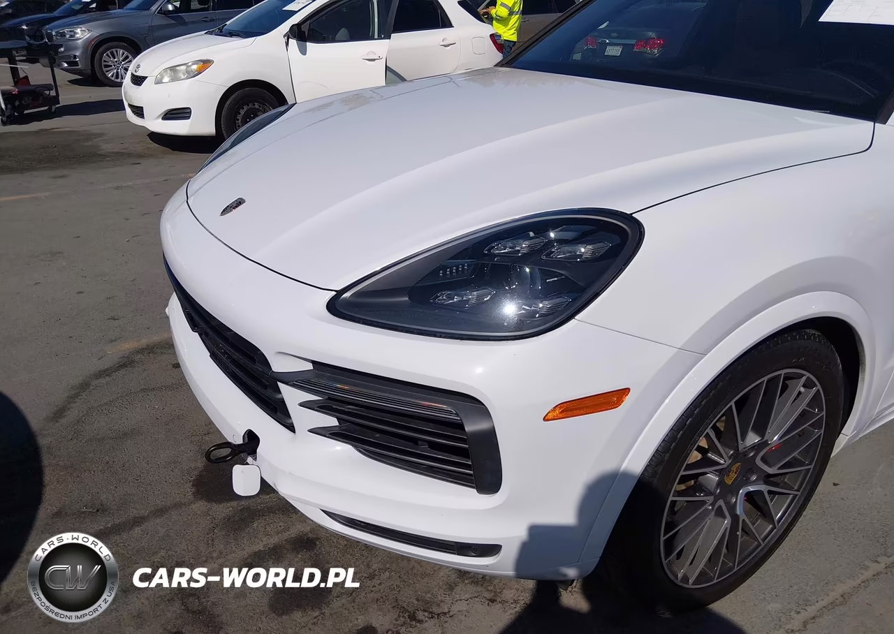 2019 Porsche Cayenne VIN:WP1AA2AYXKDA01619 - 17