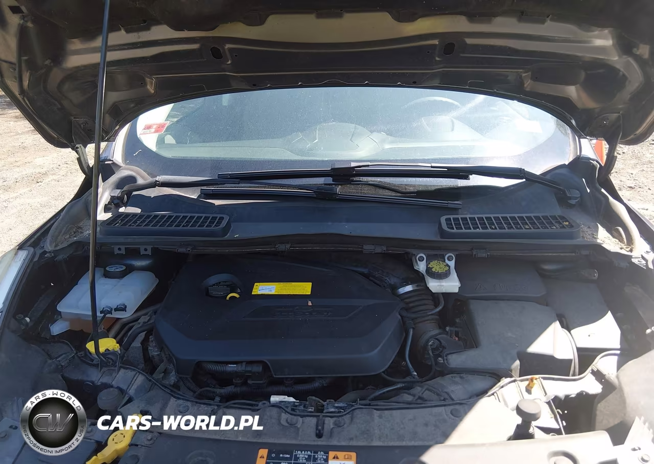 2016 Ford Escape Se VIN:1FMCU9GX0GUB09971 - 10