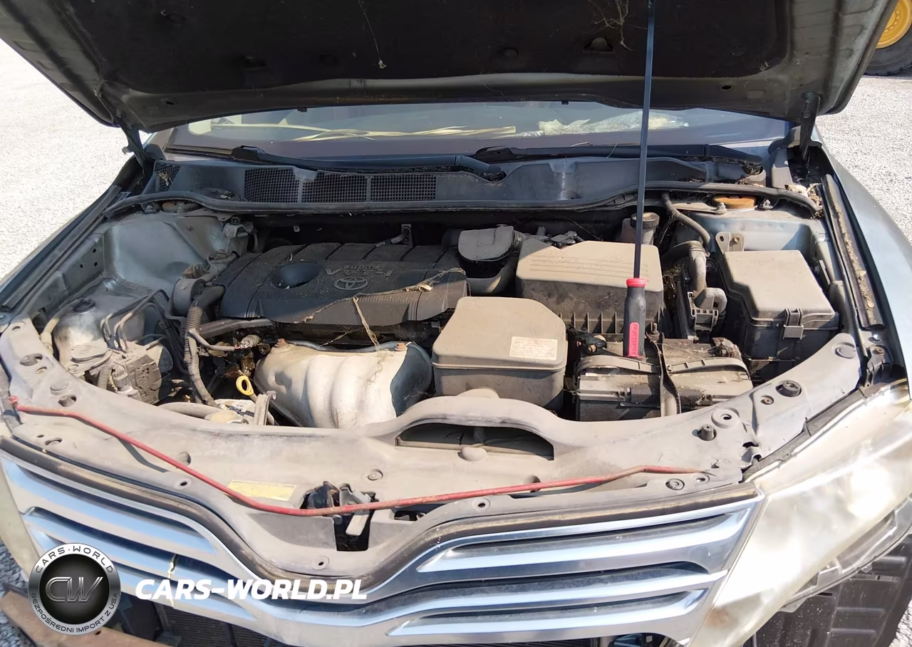 2009 Toyota Venza VIN:4T3ZE11AX9U001395 - 10