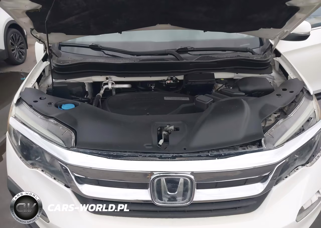 2019 Honda Pilot Ex-L VIN:5FNYF5H51KB035326 - 10