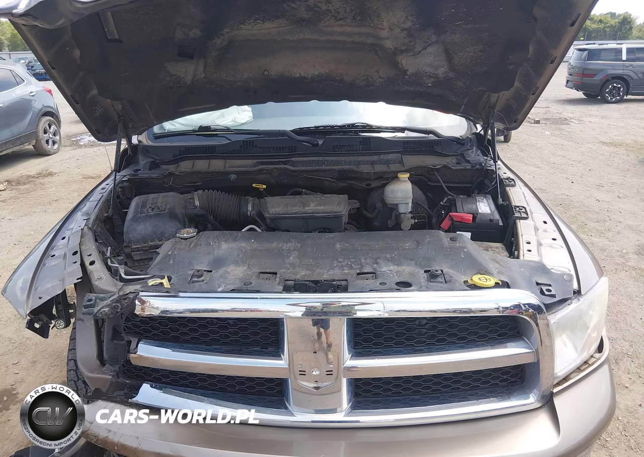 2010 Dodge Ram 1500 Slt-Sport-Trx VIN:1D7RB1CP3AS141933 - 10