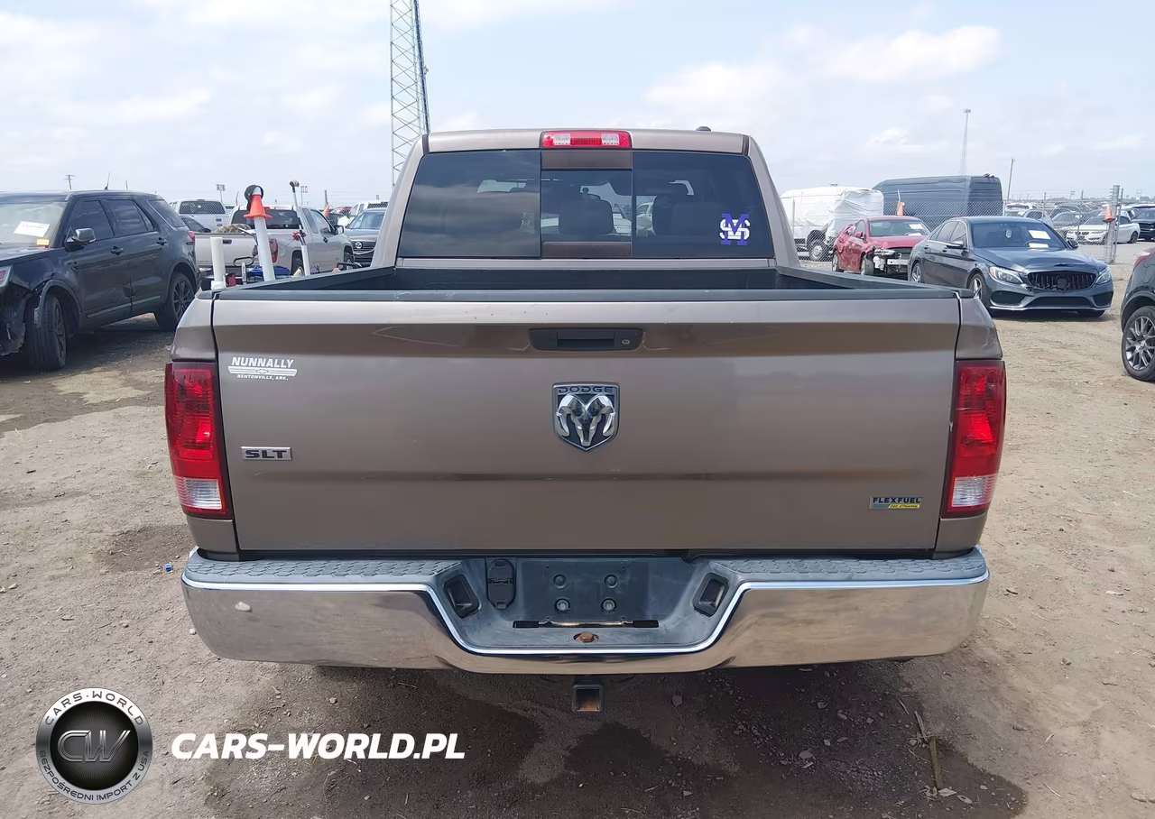 2010 Dodge Ram 1500 Slt-Sport-Trx VIN:1D7RB1CP3AS141933 - 17