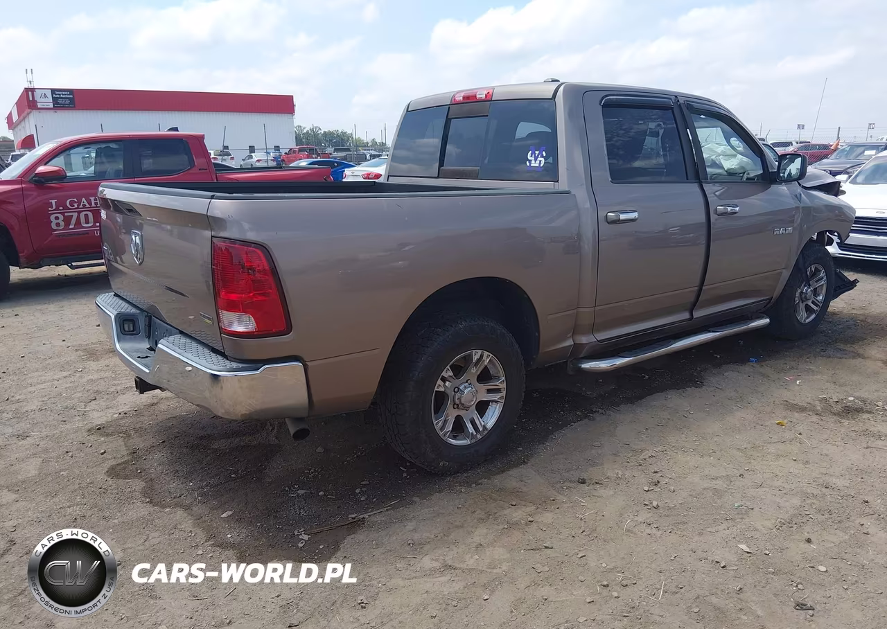 2010 Dodge Ram 1500 Slt-Sport-Trx VIN:1D7RB1CP3AS141933 - 4
