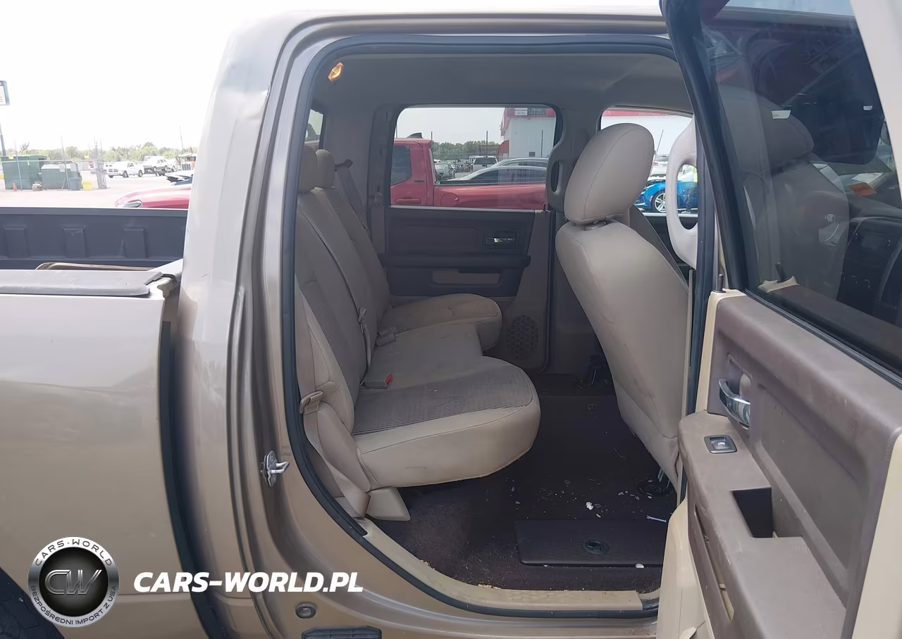 2010 Dodge Ram 1500 Slt-Sport-Trx VIN:1D7RB1CP3AS141933 - 8