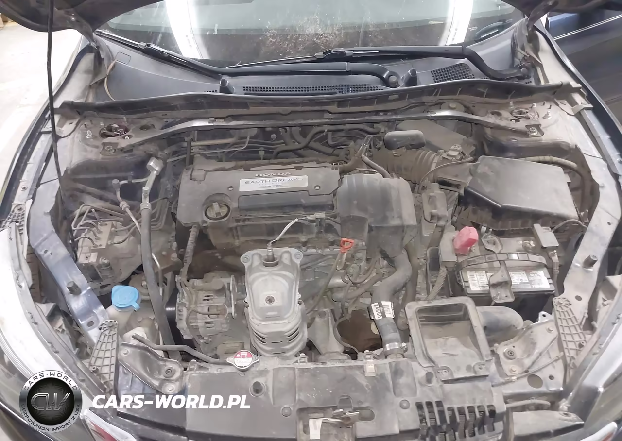 2013 Honda Accord Ex-L VIN:1HGCR2F86DA183546 - 10