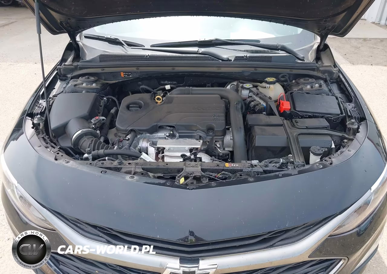2021 Chevrolet Malibu Fwd Lt VIN:1G1ZD5STXMF017254 - 10