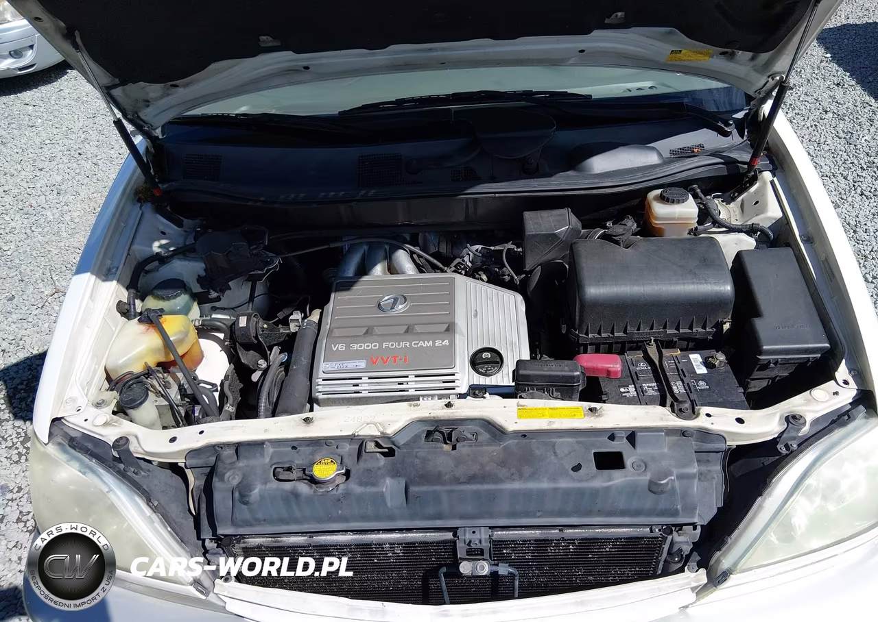 2002 Lexus Rx 300 VIN:JTJHF10U420248813 - 10