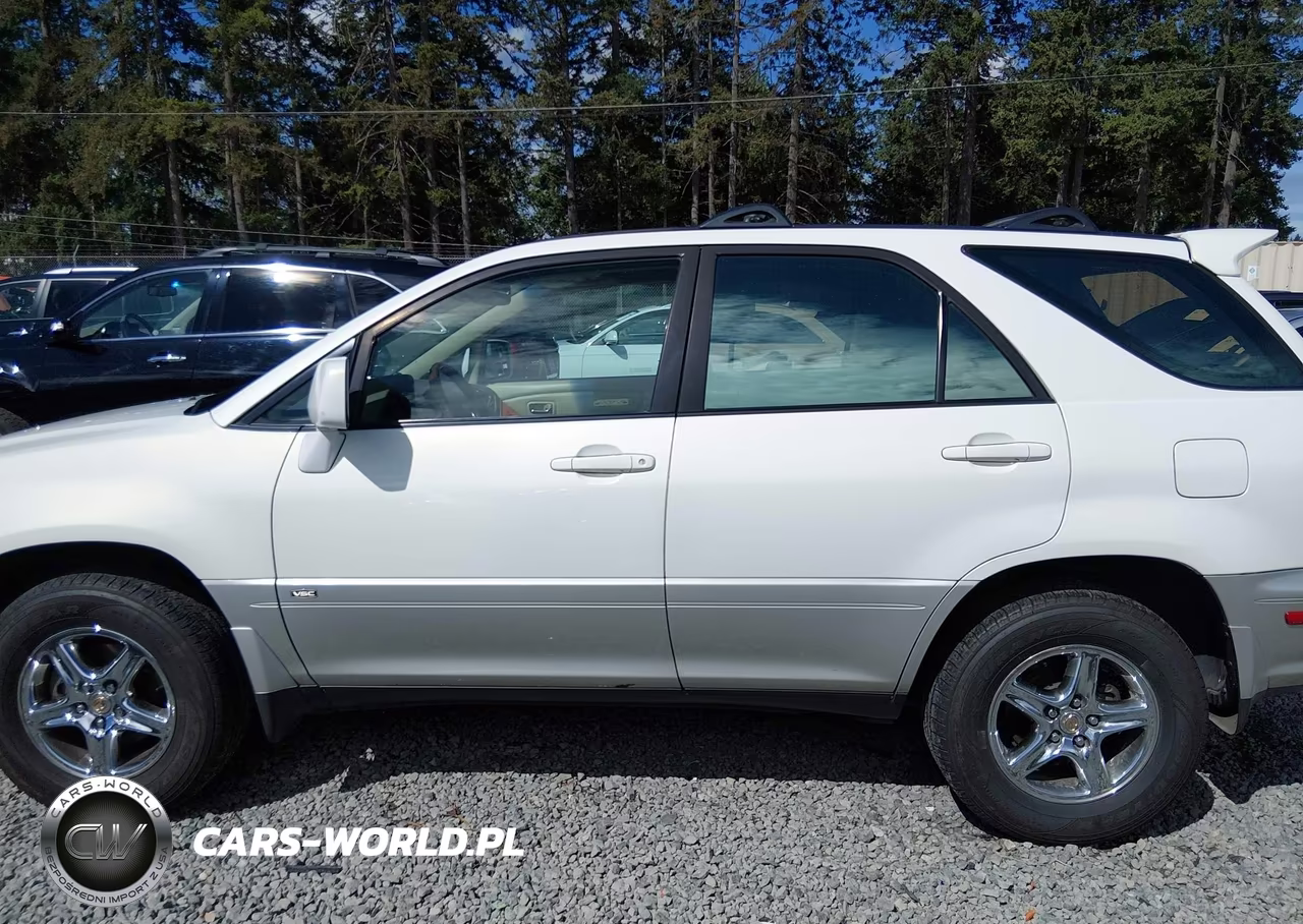 2002 Lexus Rx 300 VIN:JTJHF10U420248813 - 14