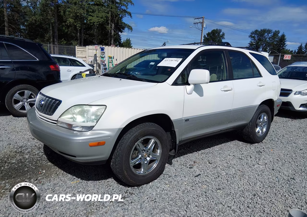 2002 Lexus Rx 300 VIN:JTJHF10U420248813 - 2