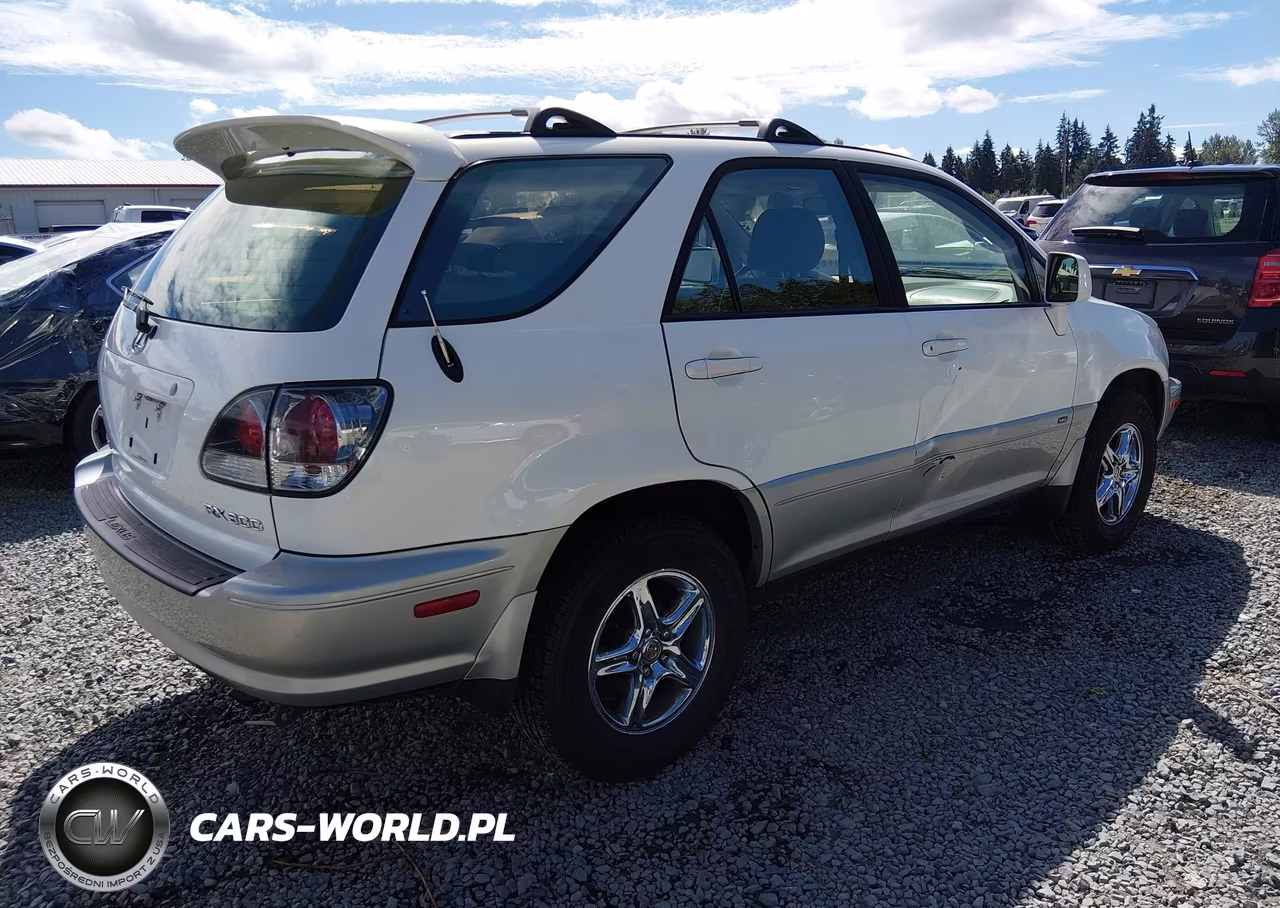 2002 Lexus Rx 300 VIN:JTJHF10U420248813 - 4