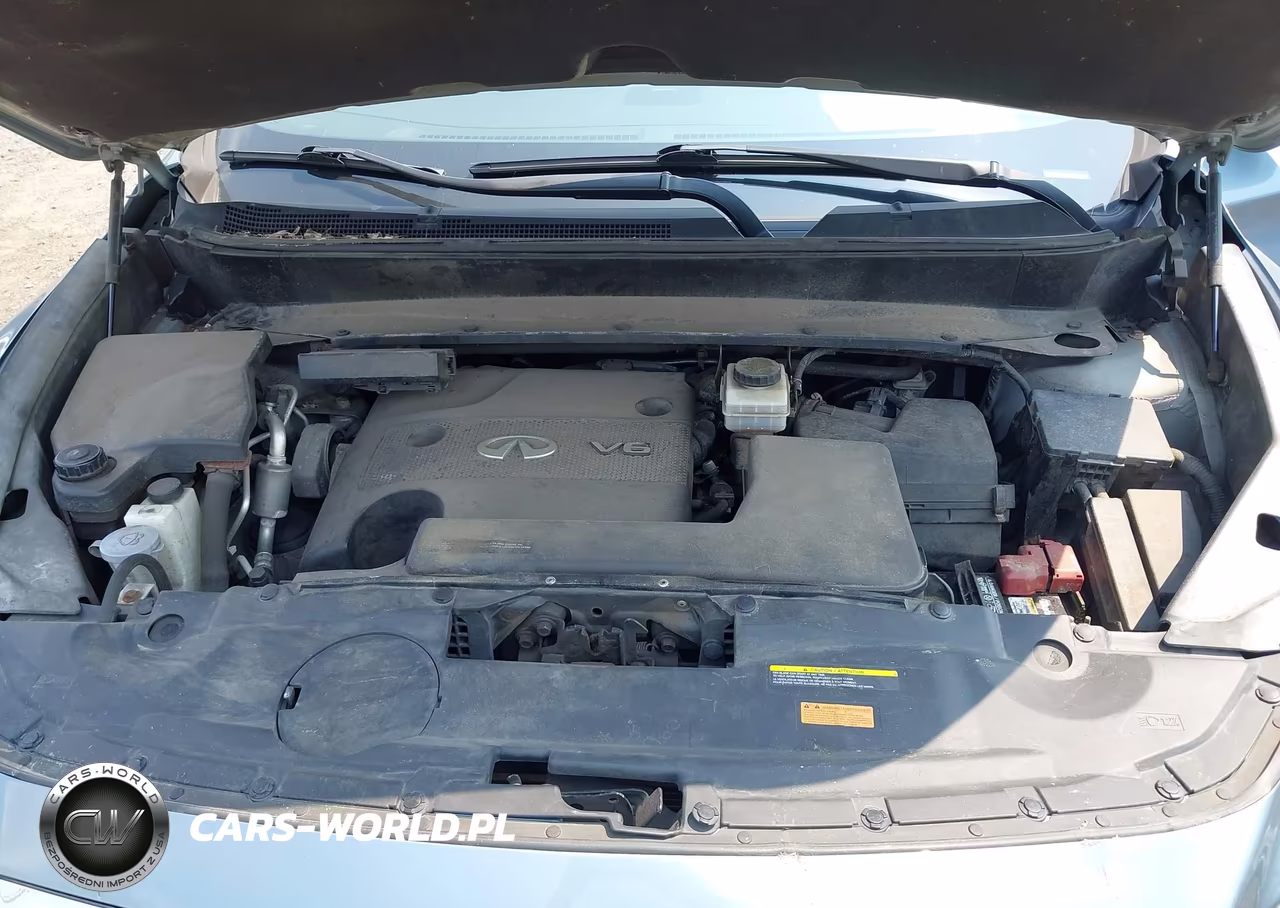 2016 Infiniti Qx60 VIN:5N1AL0MM7GC510245 - 10