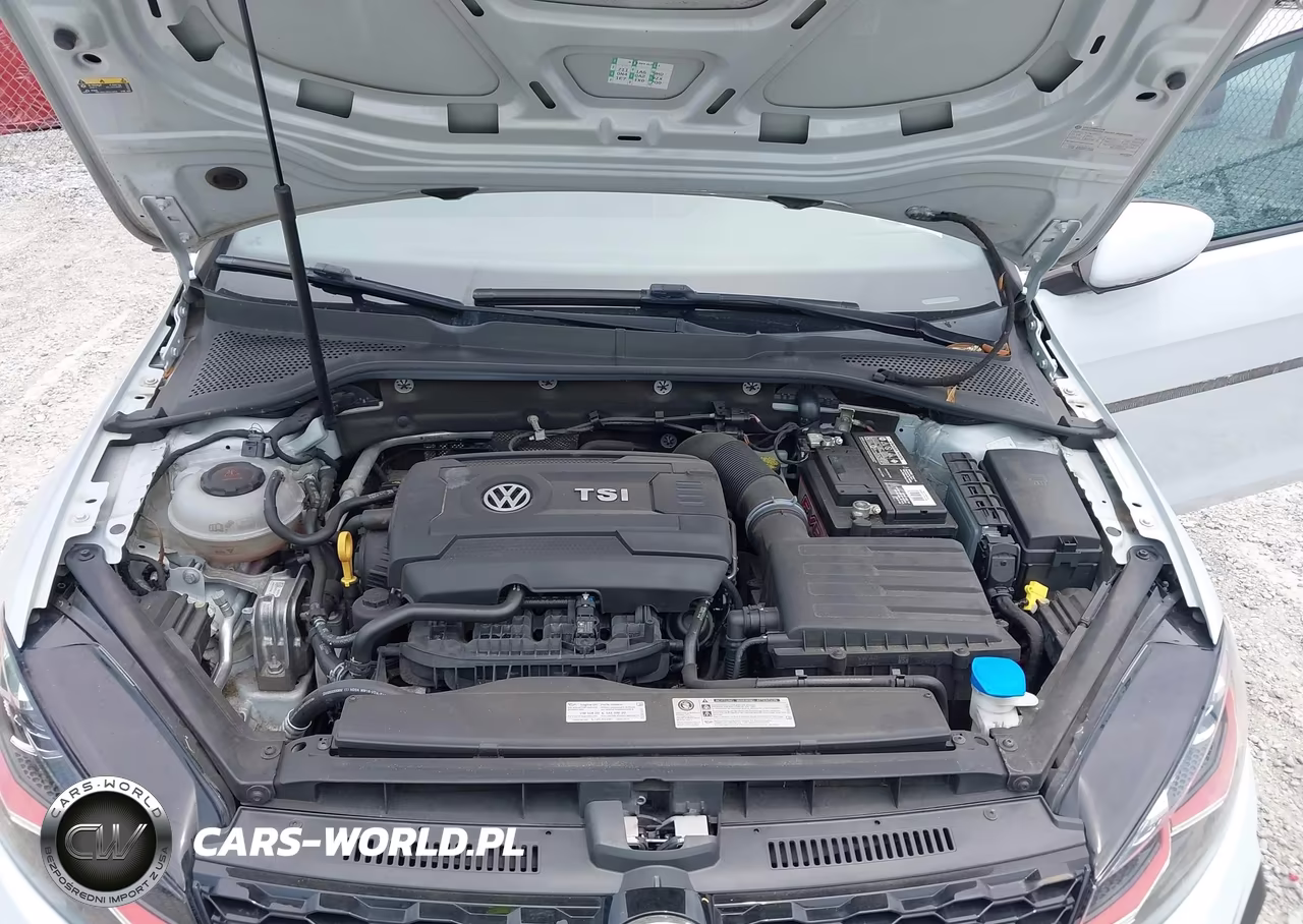 2019 Volkswagen Golf Gti 2.0T Autobahn-2.0T Rabbit Edition-2.0T S-2.0T Se VIN:3VW6T7AU3KM002379 - 10