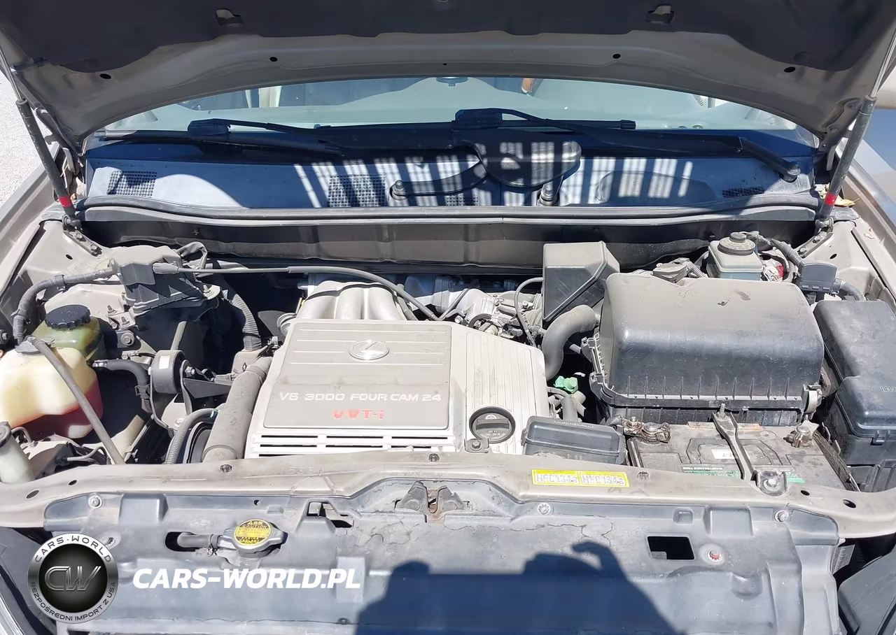 1999 Lexus Rx 300 VIN:JT6HF10U3X0080521 - 10
