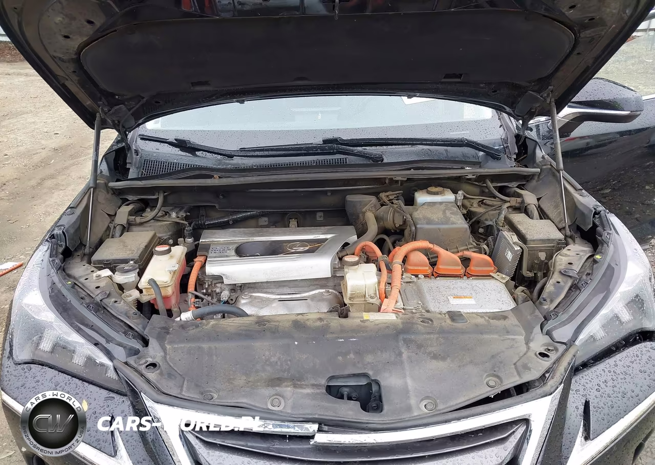 2016 Lexus Nx 300H VIN:JTJBJRBZ8G2034933 - 10