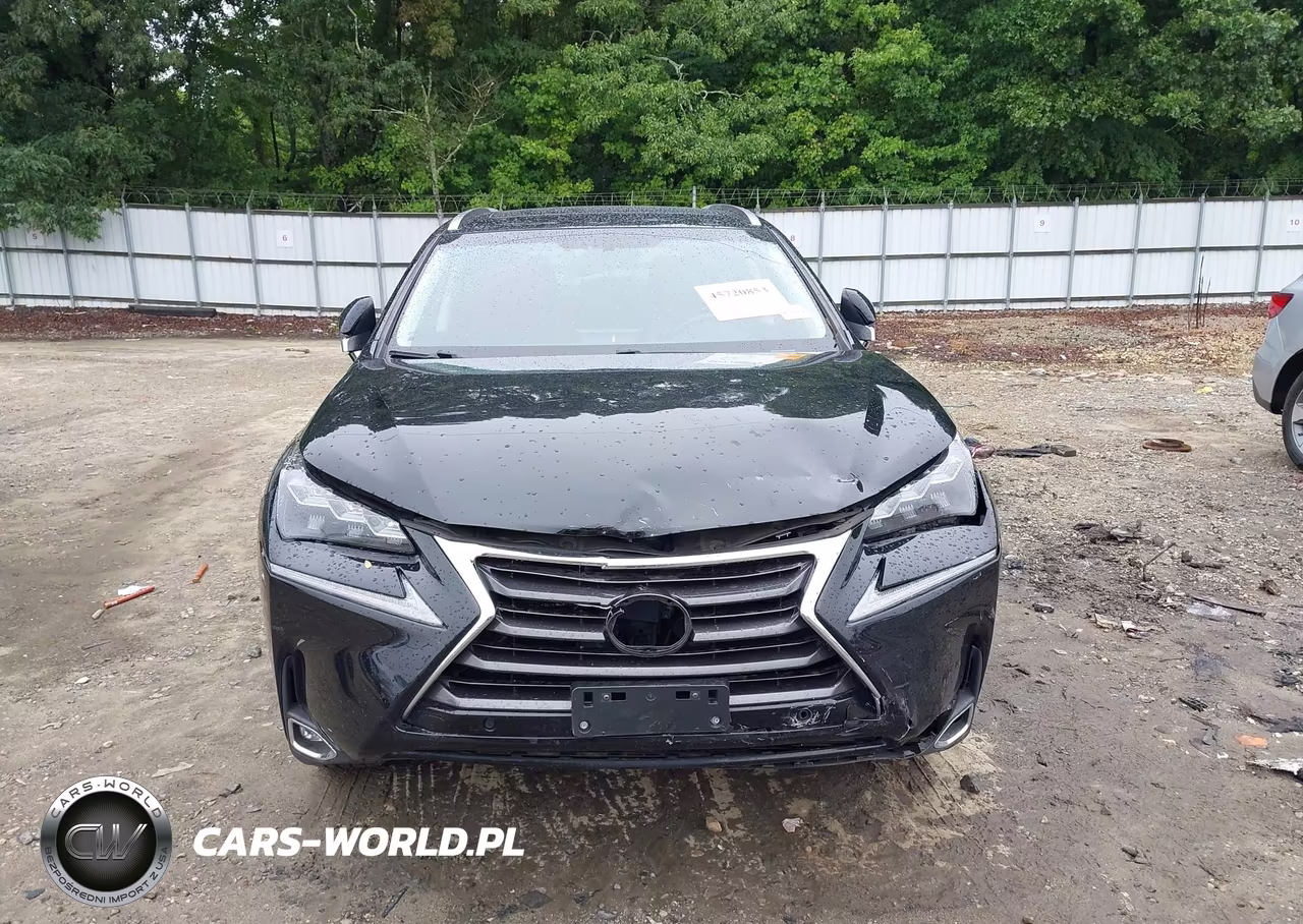 2016 Lexus Nx 300H VIN:JTJBJRBZ8G2034933 - 12