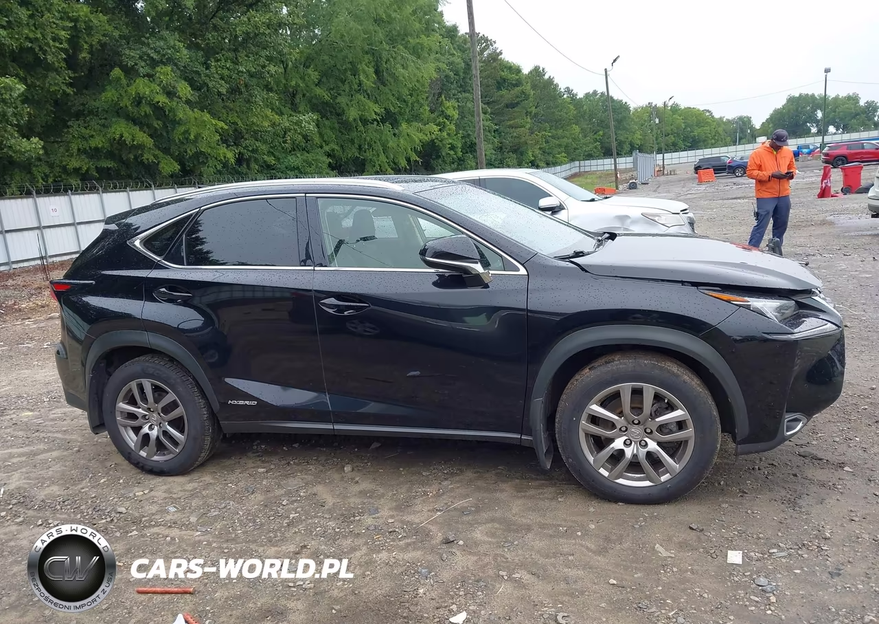 2016 Lexus Nx 300H VIN:JTJBJRBZ8G2034933 - 13