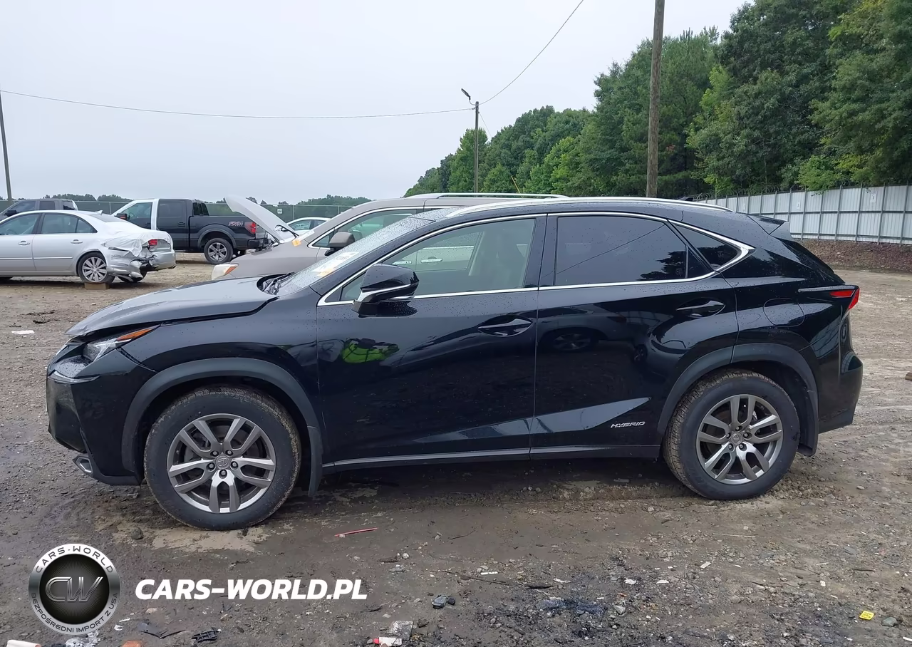 2016 Lexus Nx 300H VIN:JTJBJRBZ8G2034933 - 14