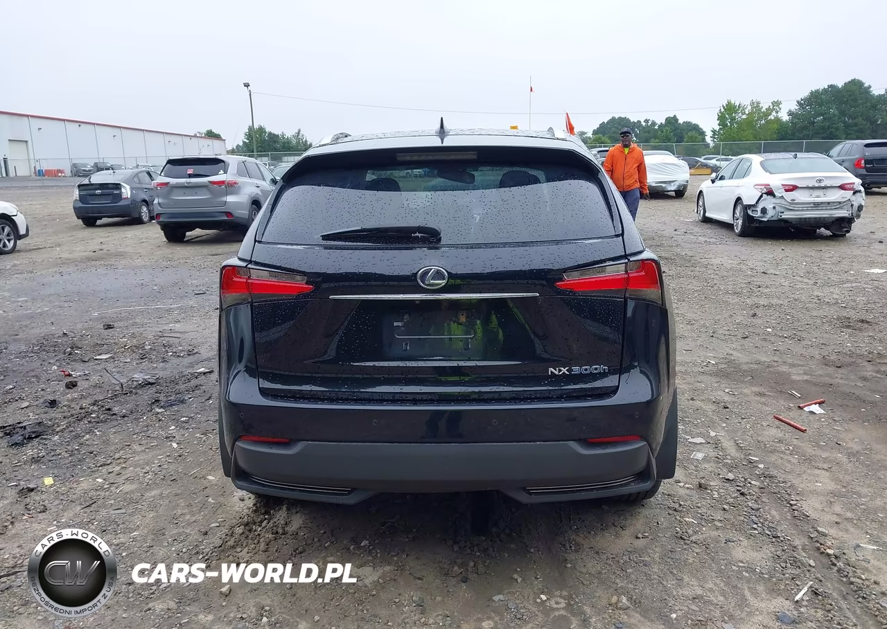 2016 Lexus Nx 300H VIN:JTJBJRBZ8G2034933 - 16